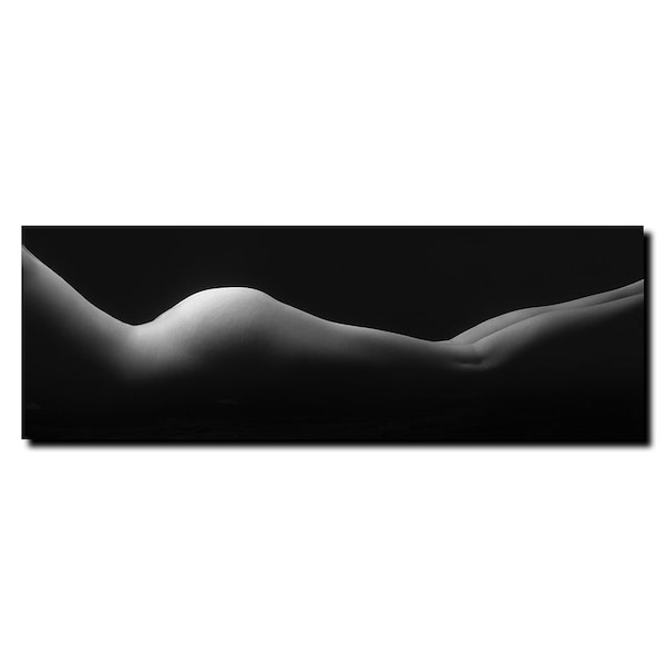 Trademark Fine Art Le Femme by Prestonl - Gallery Wrapped 12x47, 16x47 - EM240-C1647GG