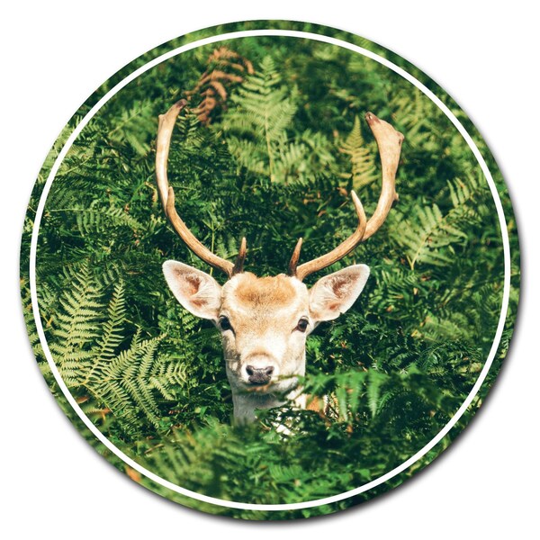 Signmission Deer On Camo Circle Corrugated Plastic Sign - C-12-CIR-DEER ON CAMO