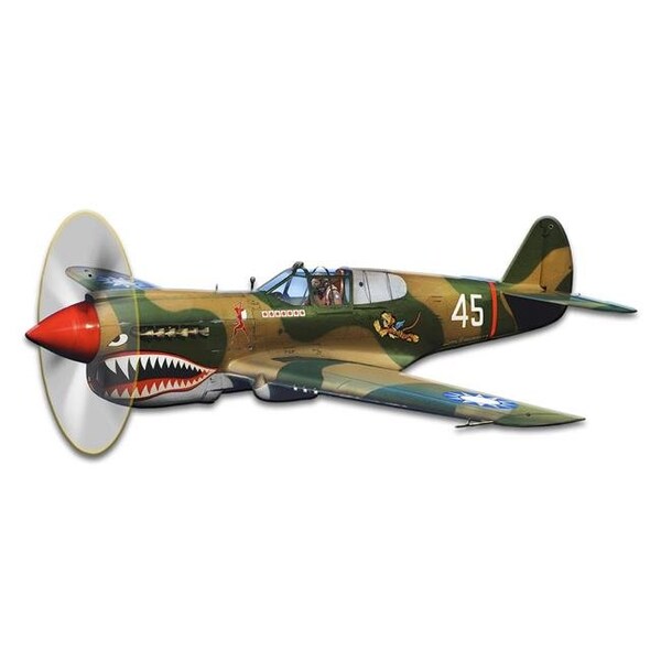 Homepage Larry Grossman P-40 Flying Tigers Plasma Satin Metal Sign - 18 x 8 in. - HO1125867