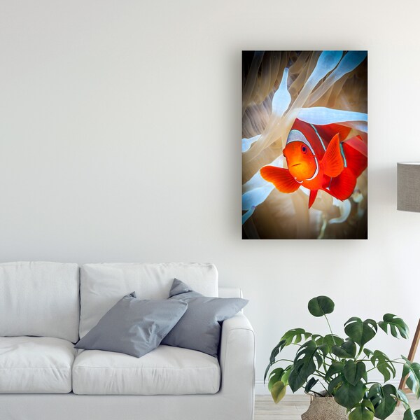 Trademark Fine Art Jan Abadschieff 'Clownfish Defends His White Anemone' Canvas Art, 22x32 - 1X08938-C2232GG