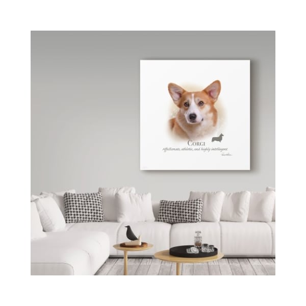 Trademark Fine Art Howard Robinson 'Corgi' Canvas Art, 14x14 - ALI24051-C1414GG