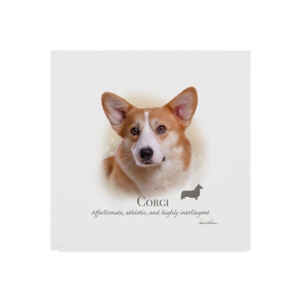 Trademark Fine Art Howard Robinson 'Corgi' Canvas Art, 14x14 - ALI24051-C1414GG