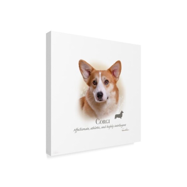 Trademark Fine Art Howard Robinson 'Corgi' Canvas Art, 14x14 - ALI24051-C1414GG