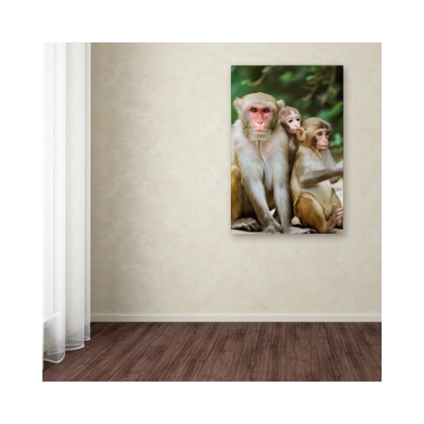 Trademark Fine Art Robert Harding Picture Library 'Monkey 2' Canvas Art, 22x32 - ALI18975-C2232GG