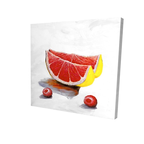 Fondo 16 x 16 in. Grapefruit Slices-Print on Canvas - FO2786759