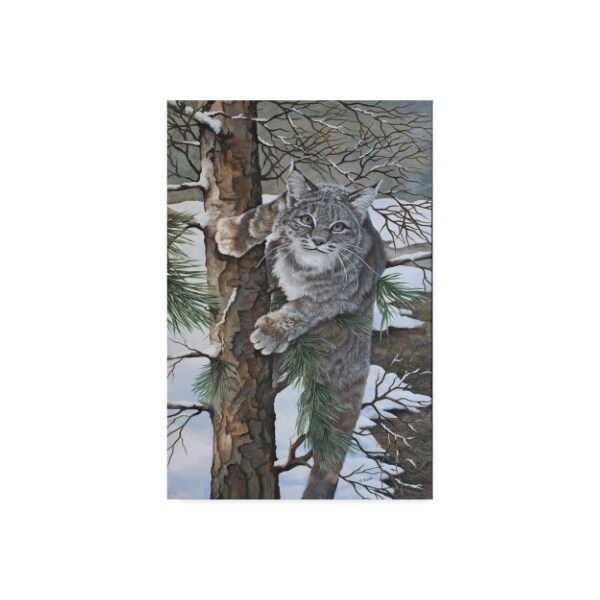 Trademark Fine Art Carol J Rupp 'Bobcat On Tree' Canvas Art, 22x32 - ALI39919-C2232GG