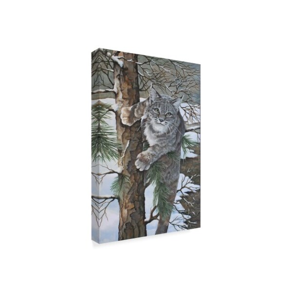 Trademark Fine Art Carol J Rupp 'Bobcat On Tree' Canvas Art, 22x32 - ALI39919-C2232GG