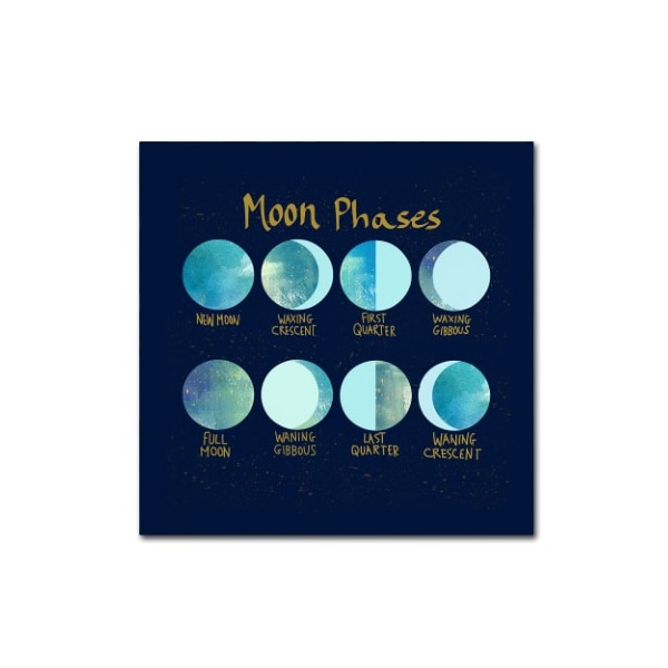 Trademark Fine Art Lisa Powell Braun 'Moon Phases' Canvas Art, 18x18 - ALI5714-C1818GG