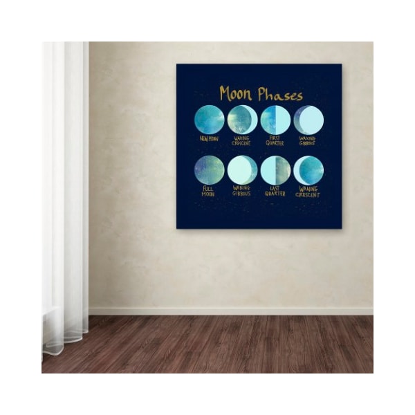 Trademark Fine Art Lisa Powell Braun 'Moon Phases' Canvas Art, 18x18 - ALI5714-C1818GG
