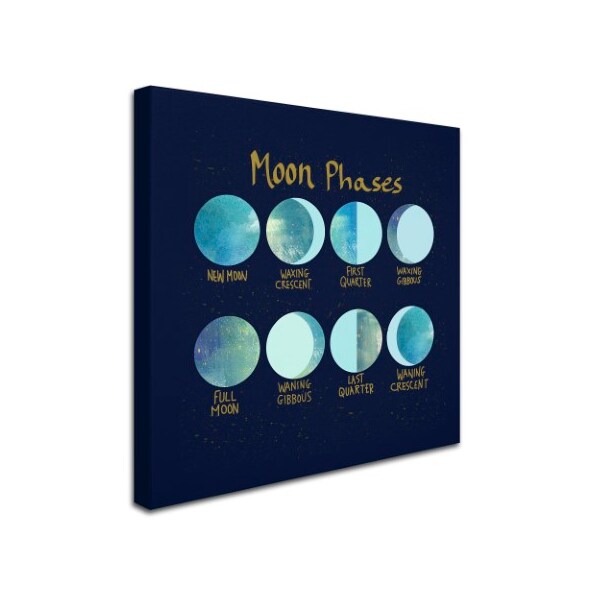 Trademark Fine Art Lisa Powell Braun 'Moon Phases' Canvas Art, 18x18 - ALI5714-C1818GG