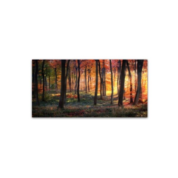 Trademark Fine Art Photokes 'Autumn Woodland Sunrise' Canvas Art, 12x24 - 1X02905-C1224GG