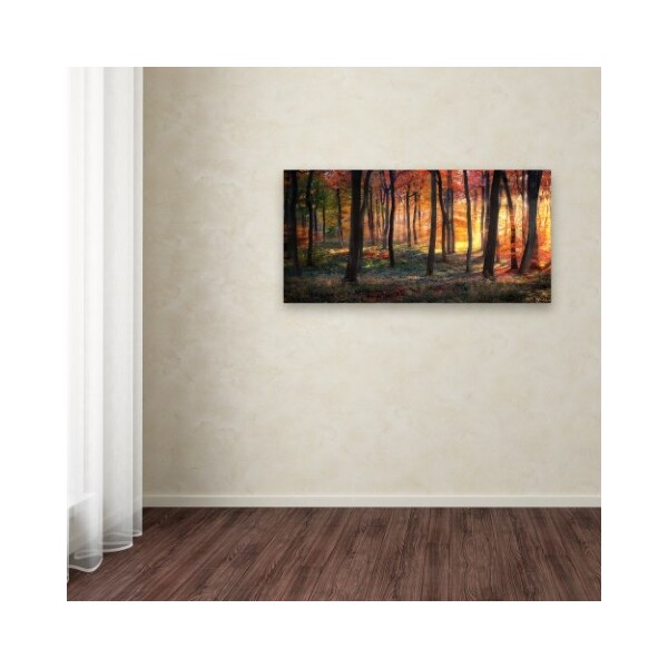 Trademark Fine Art Photokes 'Autumn Woodland Sunrise' Canvas Art, 12x24 - 1X02905-C1224GG