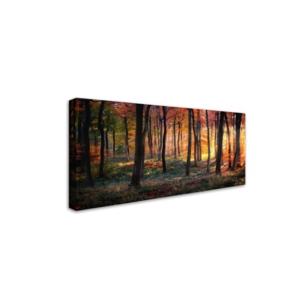 Trademark Fine Art Photokes 'Autumn Woodland Sunrise' Canvas Art, 12x24 - 1X02905-C1224GG