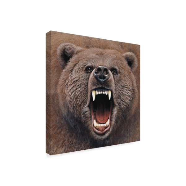 Trademark Fine Art Harro Maass 'Bear Portrait' Canvas Art, 14x14 - ALI35573-C1414GG