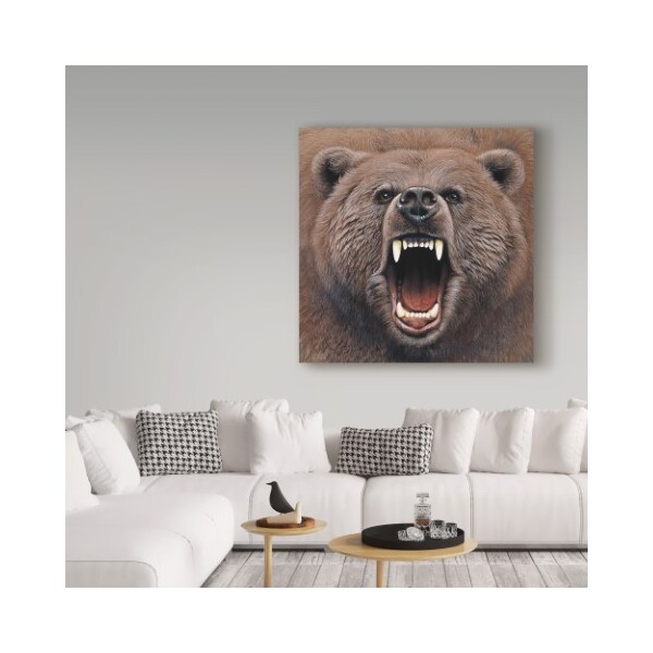 Trademark Fine Art Harro Maass 'Bear Portrait' Canvas Art, 14x14 - ALI35573-C1414GG