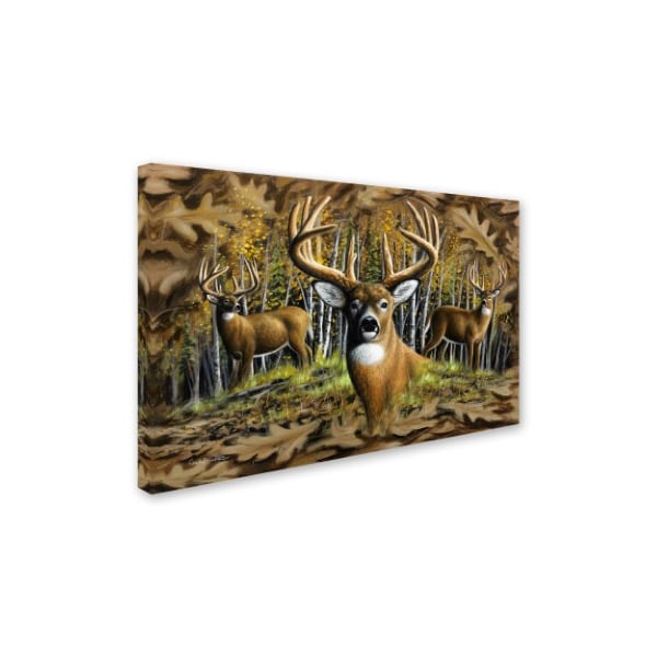 Trademark Fine Art Chuck Black 'Whitetail Country' Canvas Art, 16x24 - ALI16389-C1624GG