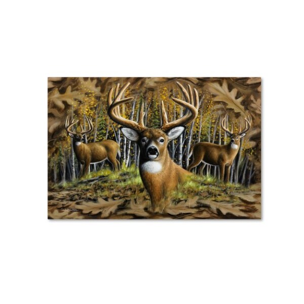 Trademark Fine Art Chuck Black 'Whitetail Country' Canvas Art, 16x24 - ALI16389-C1624GG