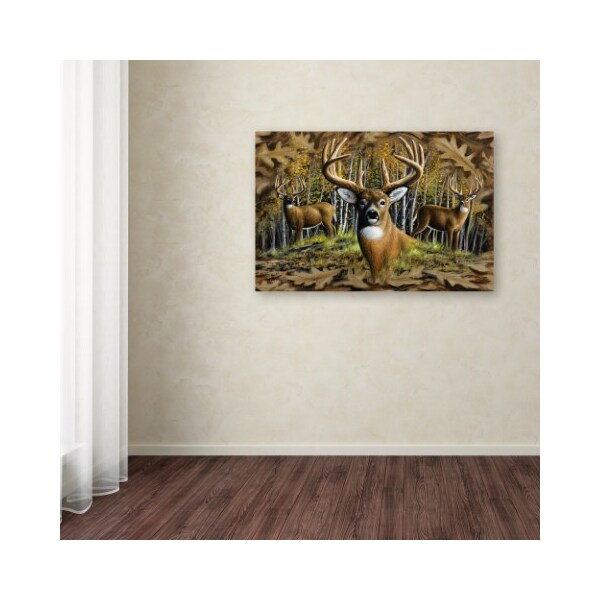 Trademark Fine Art Chuck Black 'Whitetail Country' Canvas Art, 16x24 - ALI16389-C1624GG