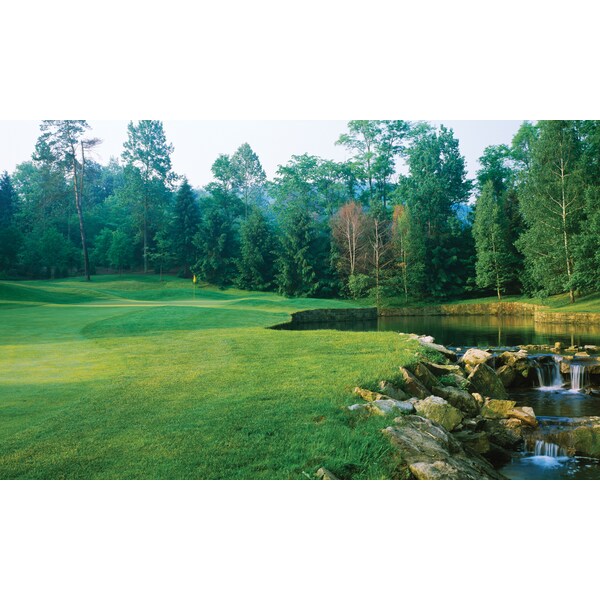 Biggies Scenes Window Well Scenes-Fairway, 100 in wide x 60 in high - BG-WW-FRY-100