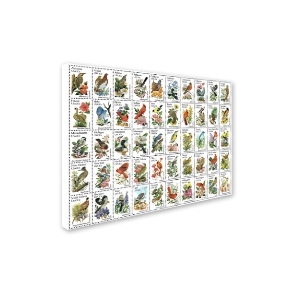 Trademark Fine Art Vintage Apple Collection '50 Birds' Canvas Art, 24x32 - ALI6252-C2432GG