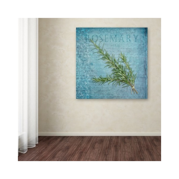 Trademark Fine Art Cora Niele 'Classic Herbs Rosemary' Canvas Art, 18x18 - ALI16533-C1818GG