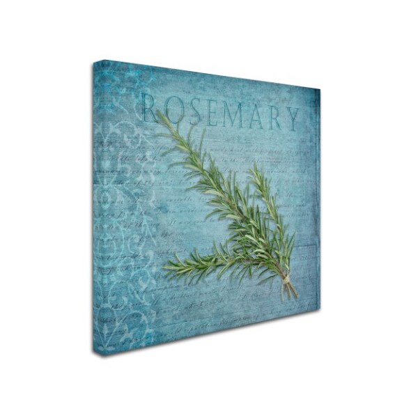Trademark Fine Art Cora Niele 'Classic Herbs Rosemary' Canvas Art, 18x18 - ALI16533-C1818GG