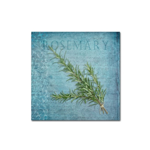 Trademark Fine Art Cora Niele 'Classic Herbs Rosemary' Canvas Art, 18x18 - ALI16533-C1818GG