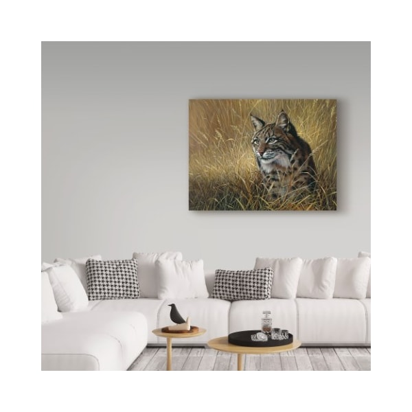 Trademark Fine Art Harro Maass 'Bobcat In Grass' Canvas Art, 24x32 - ALI35549-C2432GG