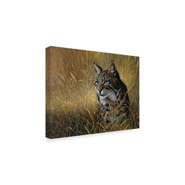 Trademark Fine Art Harro Maass 'Bobcat In Grass' Canvas Art, 24x32 - ALI35549-C2432GG