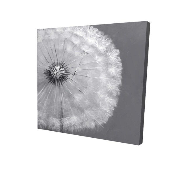 Begin Home Decor 16 x 16 in. Dandelion Puff Ball-Print on Canvas - 2080-1616-FL127