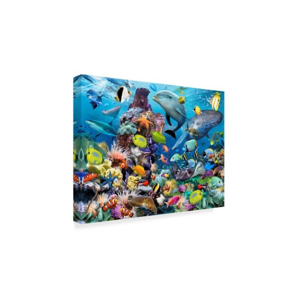 Trademark Fine Art Howard Robinson 'Colorful Reef' Canvas Art, 14x19 - ALI23955-C1419GG