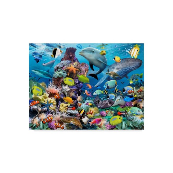 Trademark Fine Art Howard Robinson 'Colorful Reef' Canvas Art, 14x19 - ALI23955-C1419GG