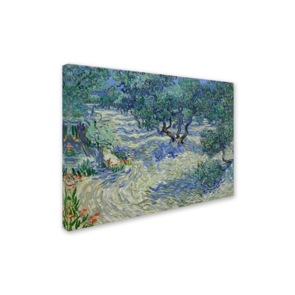 Trademark Fine Art Van Gogh 'Olive Orchard' Canvas Art, 14x19 - AA00902-C1419GG