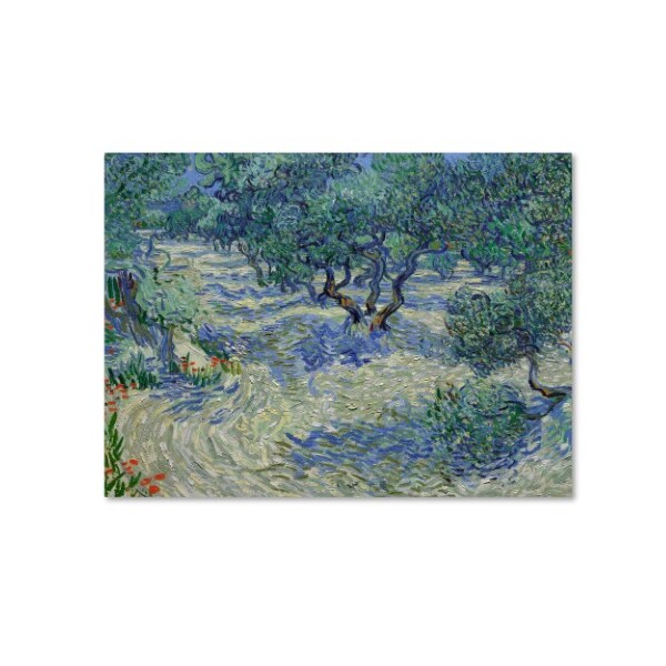 Trademark Fine Art Van Gogh 'Olive Orchard' Canvas Art, 14x19 - AA00902-C1419GG