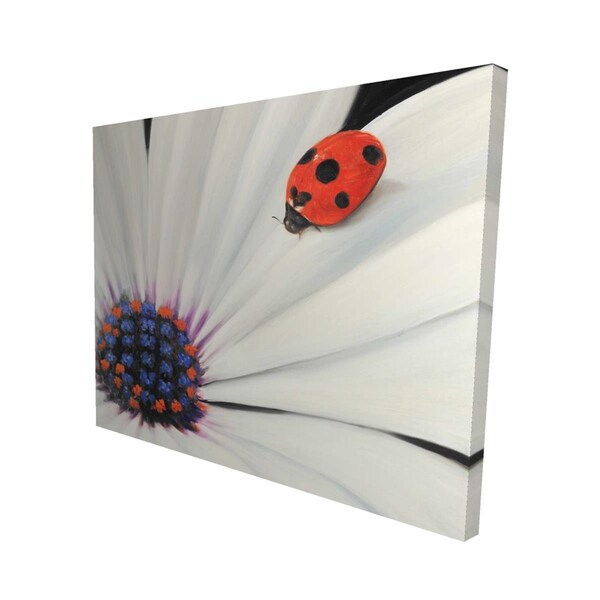 Fondo 16 x 20 in. White Daisy & Ladybug-Print on Canvas - FO2792306