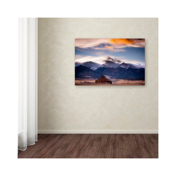 Trademark Fine Art Dan Ballard 'San Greys' Canvas Art, 22x32 - ALI8017-C2232GG