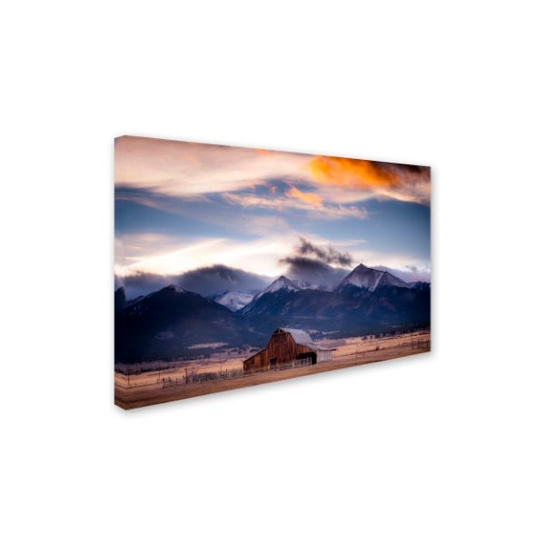 Trademark Fine Art Dan Ballard 'San Greys' Canvas Art, 22x32 - ALI8017-C2232GG