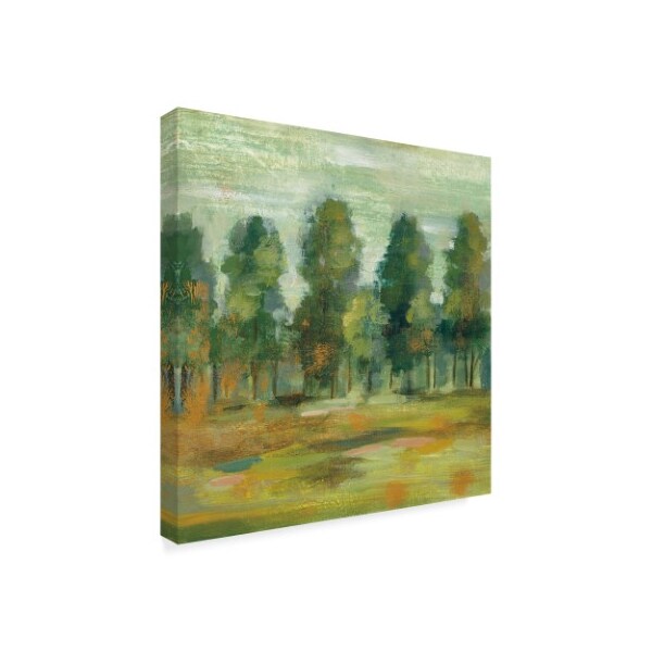 Trademark Fine Art Silvia Vassileva 'Forest Ii' Canvas Art, 24x24 - WAP07781-C2424GG