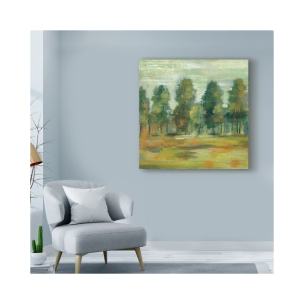 Trademark Fine Art Silvia Vassileva 'Forest Ii' Canvas Art, 24x24 - WAP07781-C2424GG
