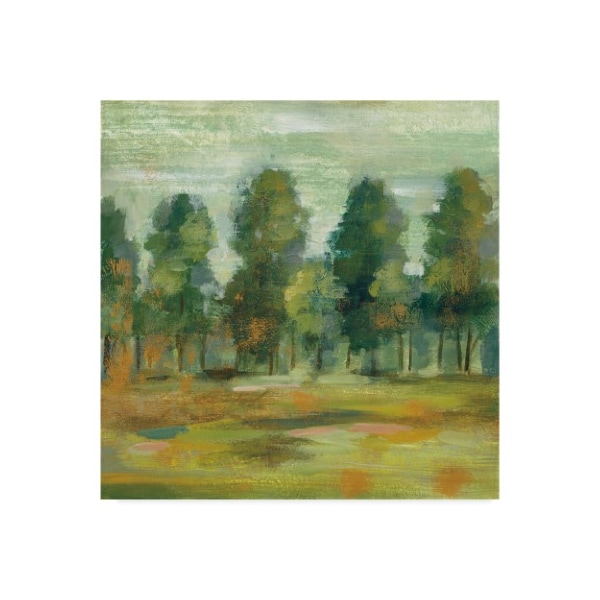 Trademark Fine Art Silvia Vassileva 'Forest Ii' Canvas Art, 24x24 - WAP07781-C2424GG