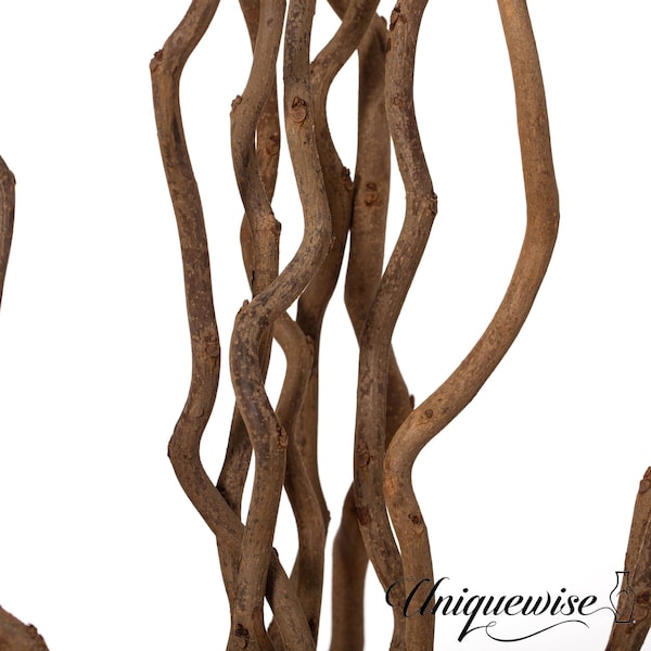 Uniquewise 60-in. Natural Dry Branches Authentic mulberry Sticks for Home Decoration and Wedding Craft - QI004415.M.BN.60