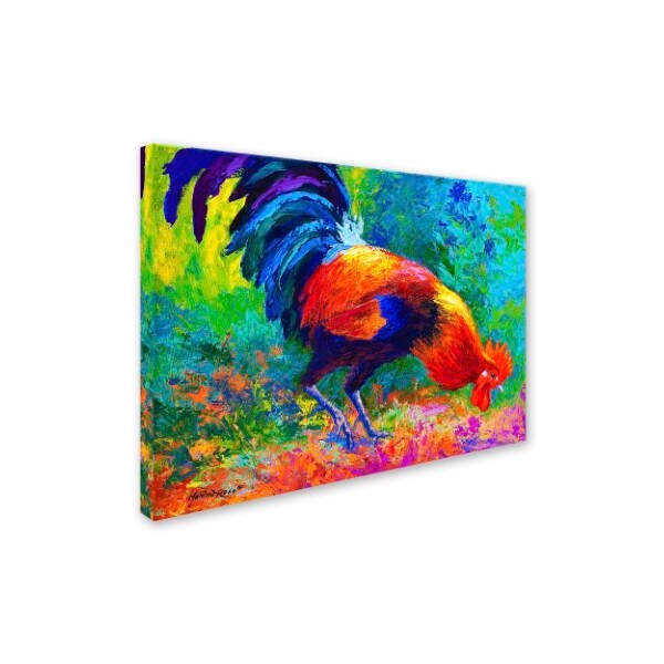 Trademark Fine Art Marion Rose 'Scratchin' Canvas Art, 24x32 - ALI7772-C2432GG