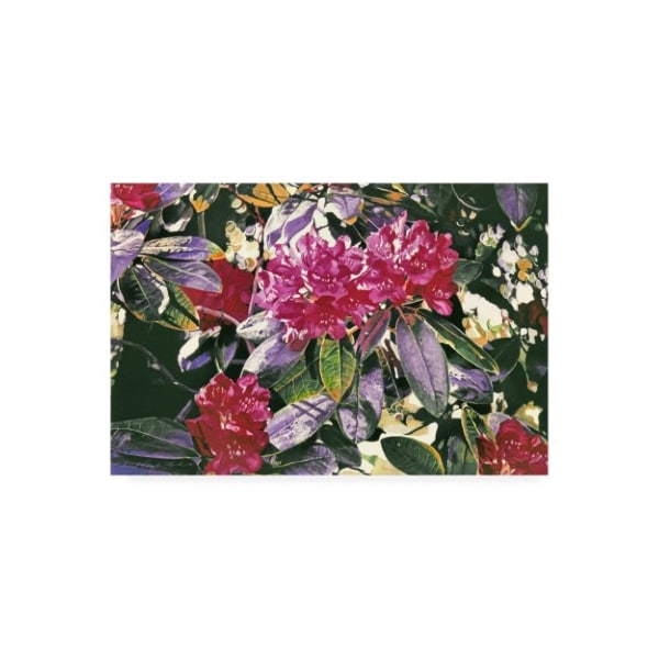 Trademark Fine Art David Lloyd Glover 'April Dreams' Canvas Art, 30x47 - DLG00983-C3047GG
