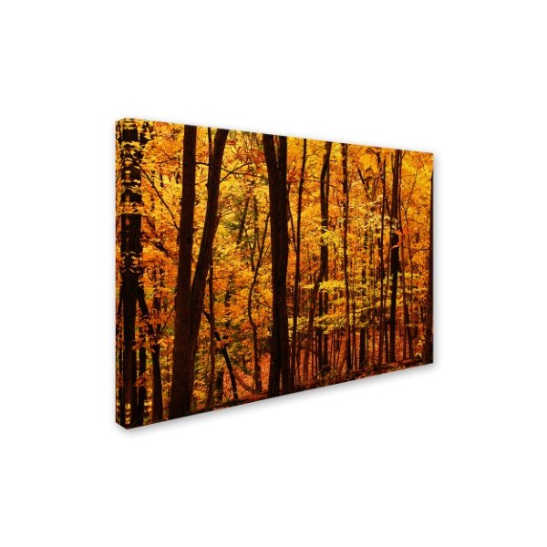 Trademark Fine Art CATeyes 'Delicious Autumn' Canvas Art, 30x47 - MZ004-C3047GG
