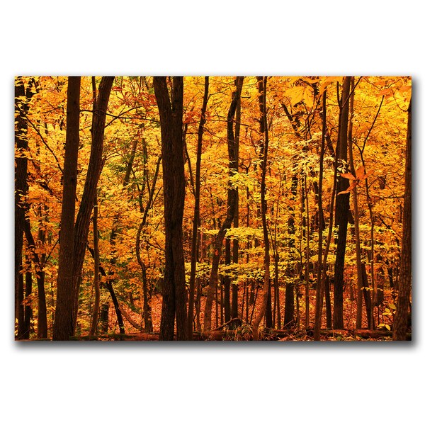 Trademark Fine Art CATeyes 'Delicious Autumn' Canvas Art, 30x47 - MZ004-C3047GG