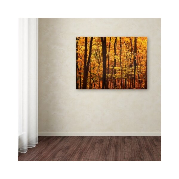 Trademark Fine Art CATeyes 'Delicious Autumn' Canvas Art, 30x47 - MZ004-C3047GG