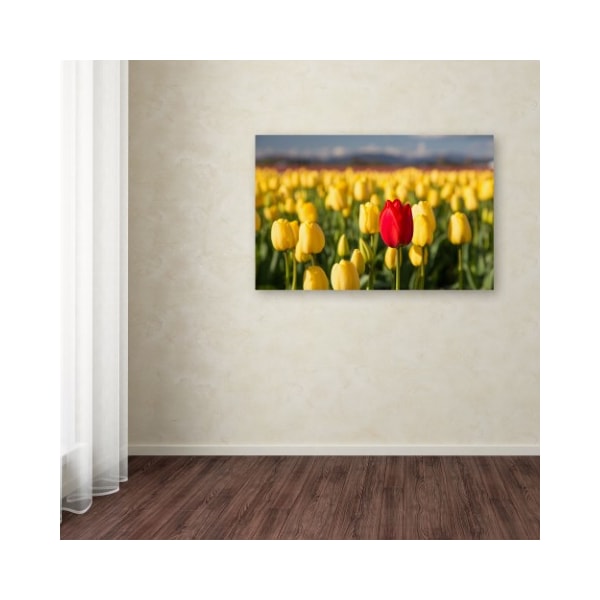Trademark Fine Art Pierre Leclerc 'Red Tulip' Canvas Art, 30x47 - PL0138-C3047GG