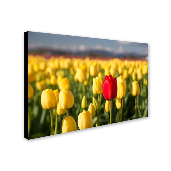 Trademark Fine Art Pierre Leclerc 'Red Tulip' Canvas Art, 30x47 - PL0138-C3047GG