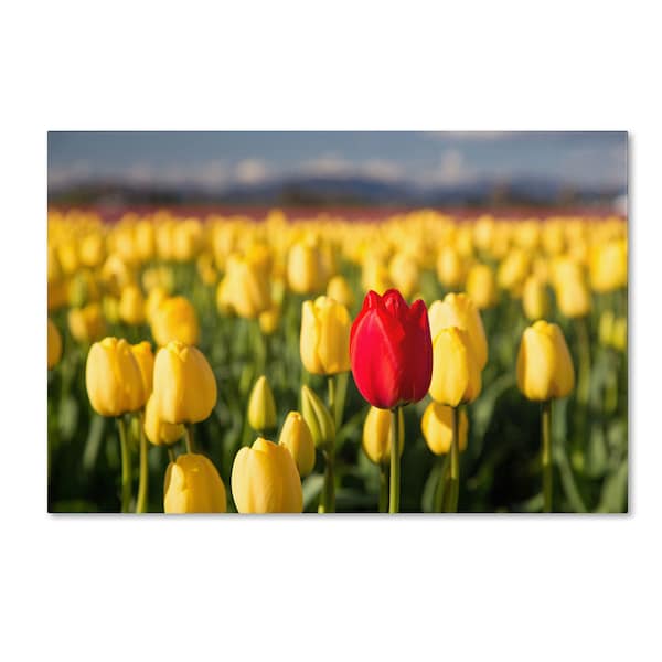 Trademark Fine Art Pierre Leclerc 'Red Tulip' Canvas Art, 30x47 - PL0138-C3047GG