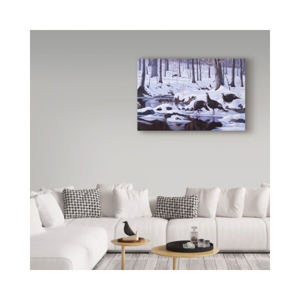 Trademark Fine Art Wilhelm Goebel 'Hardwood Creek Wild Turkeys' Canvas Art, 22x32 - ALI33764-C2232GG